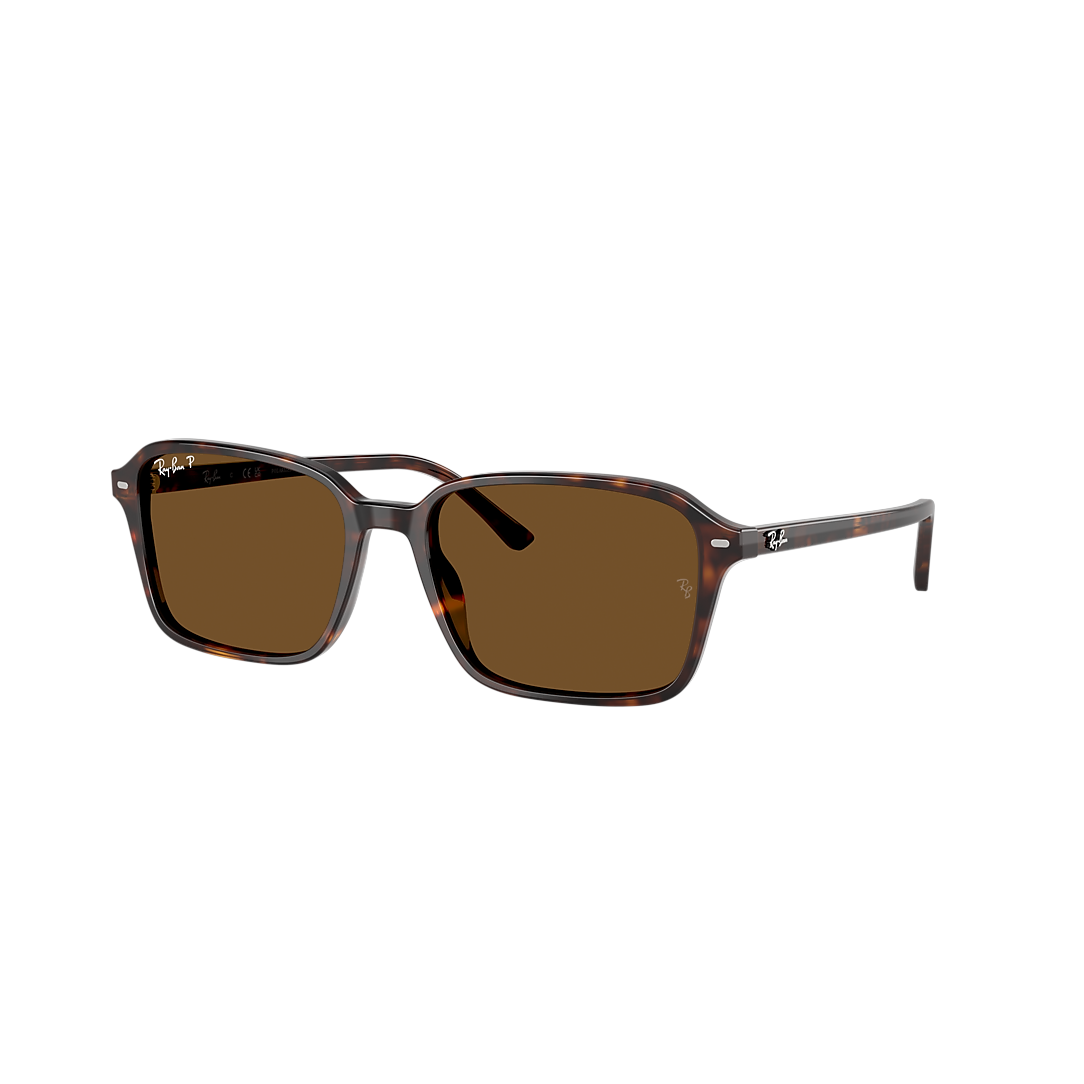 Brown Polarized