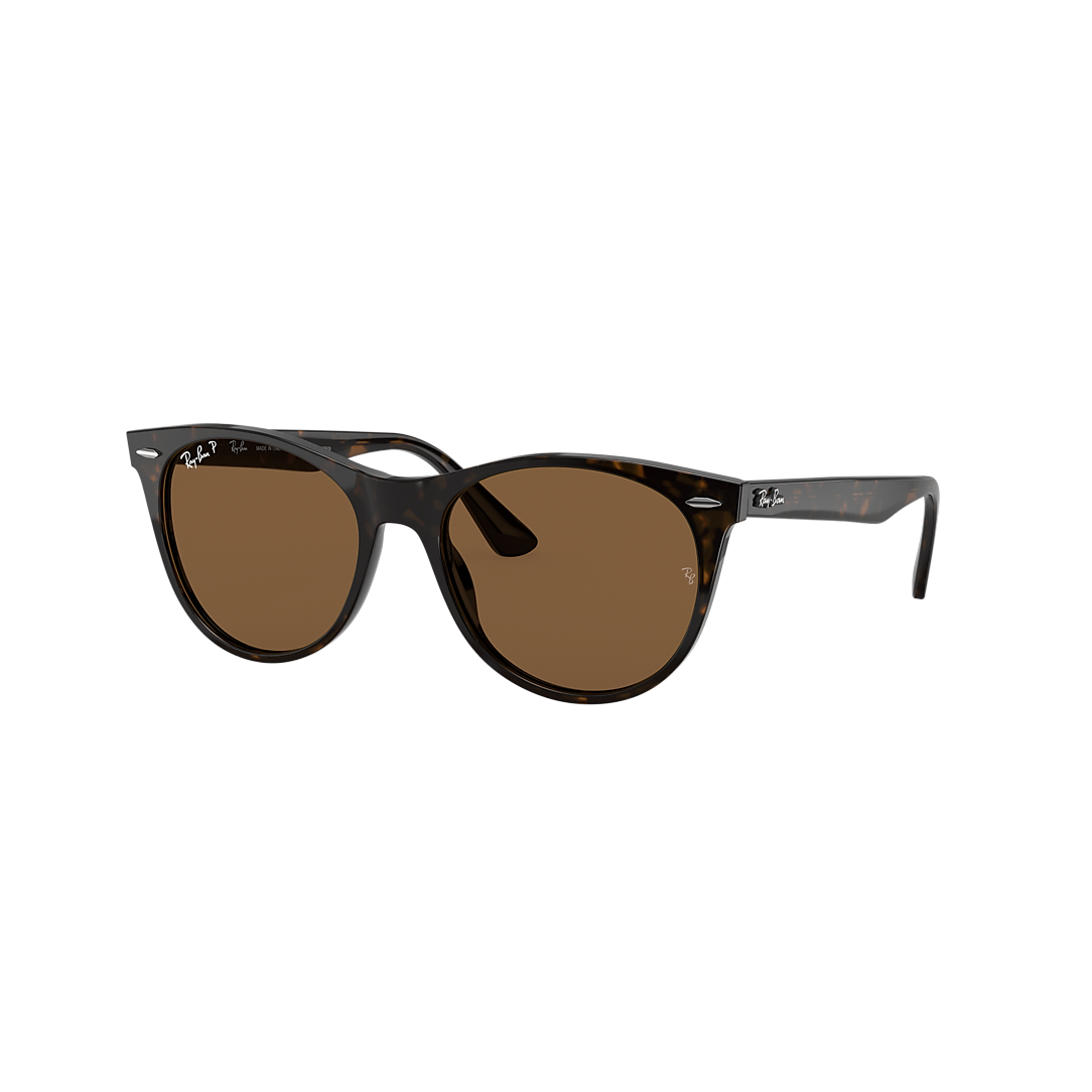 Brown Polarized