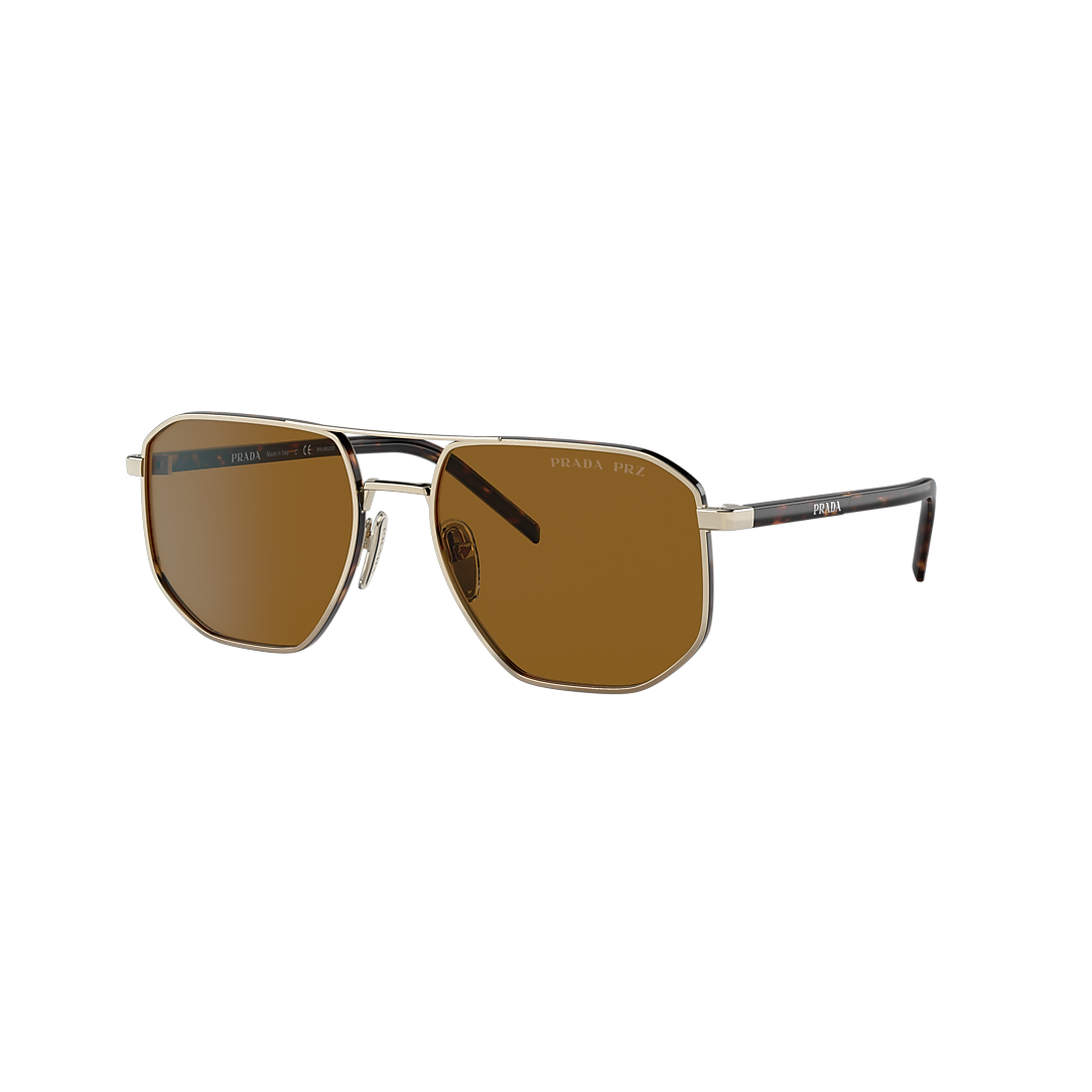 Brown Polarized