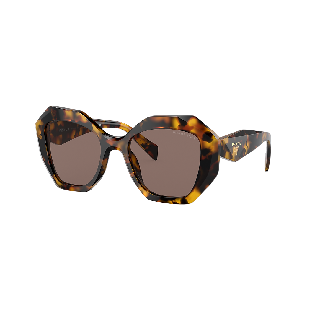 Brown Polarized